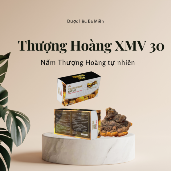 Thượng Hoàng XMV 30