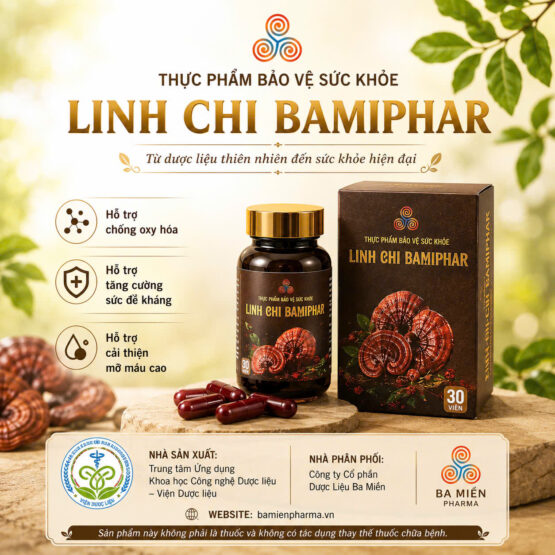 Linh Chi Bamiphar Linh Chi Bamiphar