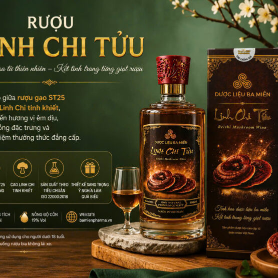 Rượu Linh Chi Tửu Rượu Linh Chi Tửu